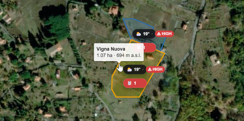 3 vigneti · 4,2 ha